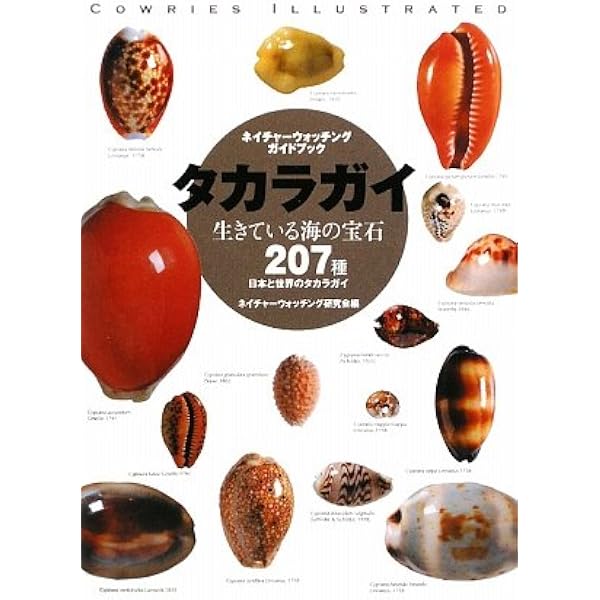 タカラガイ・ブック: 日本のタカラガイ図鑑 | 池田 等, 淤見 慶宏